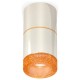 Накладной светильник Ambrella Light XS7405062 XS