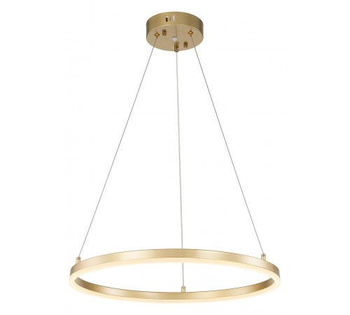 Подвесной светильник Escada 10254/1LED Gold APP Void Подвесной светильник Escada 10254/1LED Gold APP Void