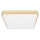 Накладной светильник Loft it 10228/D Flims