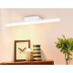 Подсветка для картины Ambrella Light FW421 FW