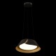 Подвесной светильник Loft it 10370P Black Lane