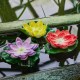 Растение Uniel UL-00011601 WATERLILY