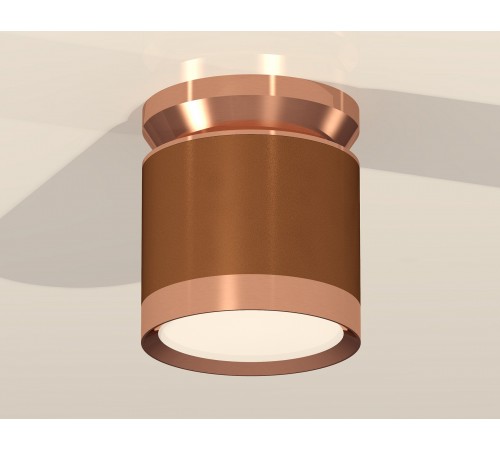 Накладной светильник Ambrella Light XS8117010 XS