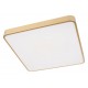 Накладной светильник Loft it 10228/D Flims