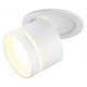Встраиваемый светильник на штанге Ambrella Light TA1431 TA