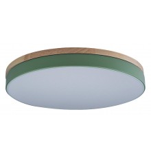 Накладной светильник Loft it 10001/36 Green Axel