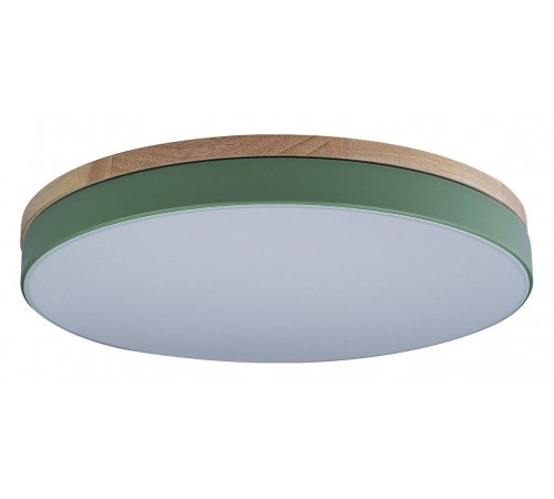 Накладной светильник Loft it 10001/36 Green Axel Накладной светильник Loft it 10001/36 Green Axel