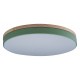 Накладной светильник Loft it 10001/36 Green Axel