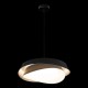 Подвесной светильник Loft it 10256P Black Petale