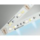 Лента светодиодная Ambrella Light GS4501 GS
