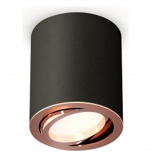 Накладной светильник Ambrella Light XS7422004 XS