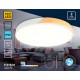 Накладной светильник Ambrella Light FZ1301 FZ