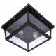 Накладной светильник Loft it LOFT3110-2C Modern Filament