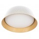 Накладной светильник Loft it 10224 White Evans