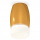 Накладной светильник Ambrella Light XS1125023 XS