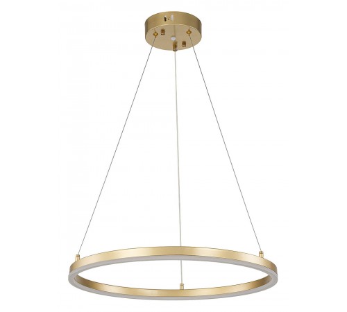 Подвесной светильник Escada 10254/1LED Gold APP Void Подвесной светильник Escada 10254/1LED Gold APP Void