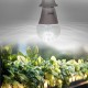 Лампа светодиодная Uniel UL-00011438 LED