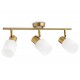 Спот Ambrella Light TR3972 TR