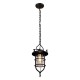 Подвесной светильник Loft it LOFT1141 Warehouse