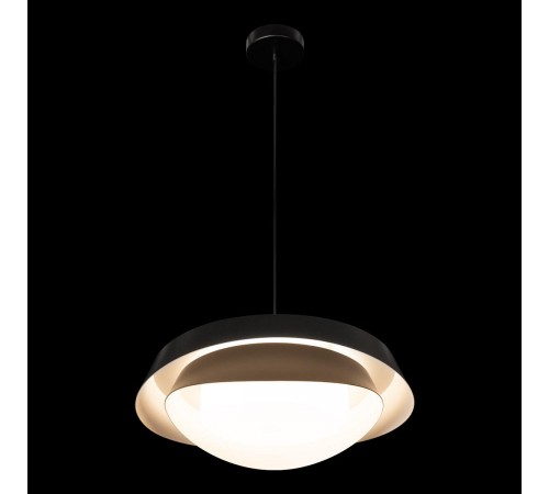 Подвесной светильник Loft it 10256P Black Petale Подвесной светильник Loft it 10256P Black Petale
