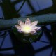 Растение Uniel UL-00011601 WATERLILY