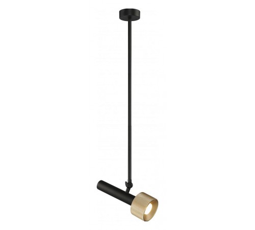 Светильник на штанге iLedex Technical 2361-1 BK+BR Delta Светильник на штанге iLedex Technical 2361-1 BK+BR Delta