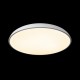 Накладной светильник Loft it 10371 White Dime