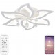 Потолочная люстра Natali Kovaltseva LED LAMPS 81238 Olimp