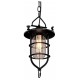 Подвесной светильник Loft it LOFT1141 Warehouse