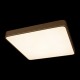 Накладной светильник Loft it 10228/D Flims