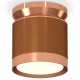 Накладной светильник Ambrella Light XS8117010 XS