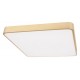 Накладной светильник Loft it 10228/D Flims