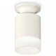 Накладной светильник Ambrella Light XS6301104 XS