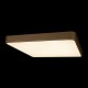 Накладной светильник Loft it 10228/D Flims