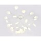 Потолочная люстра Ambrella Light TR3011 TR