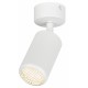 Спот Эра OL55 WH