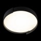 Накладной светильник Loft it 10200 Black Coin