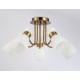 Потолочная люстра Ambrella Light TR3218 TR