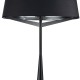 Торшер Indigo 11041/1F Black Maestria
