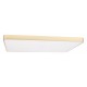 Накладной светильник Loft it 10228/E Flims