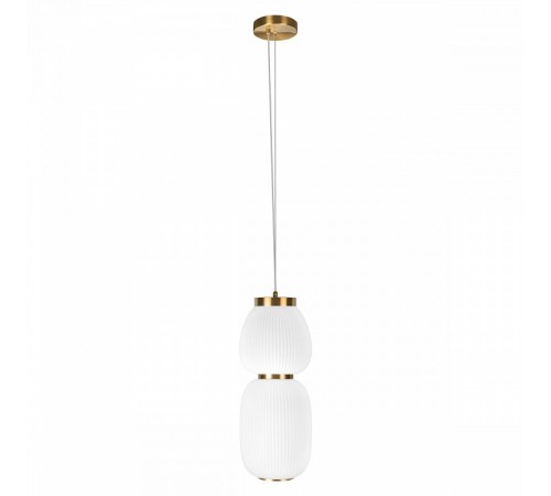Подвесной светильник Loft it 10422/A Duff