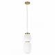 Подвесной светильник Loft it 10422/A Duff