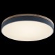 Накладной светильник Loft it 10001/36 Grey Axel