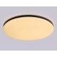Накладной светильник Ambrella Light FZ2006 FZ