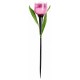 Садовая фигура Uniel UL-00004276 Tulip