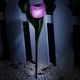 Садовая фигура Uniel UL-00004276 Tulip