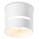 Накладной светильник Ambrella Light TN71050 TN