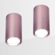 Накладной светильник Ambrella Light TN220 TN