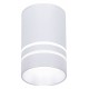 Накладной светильник Ambrella Light TN236 TN