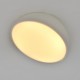 Накладной светильник Escada 20025SMA/01LED WH 20025LED